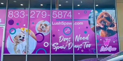 Window Graphics Photo